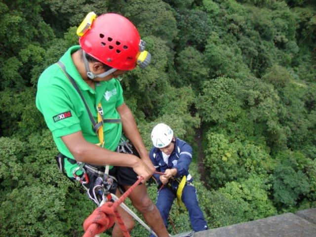 Paredes verticales